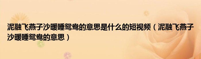 泥融飞燕子沙暖睡鸳鸯的意思是什么的短视频（泥融飞燕子沙暖睡鸳鸯的意思）