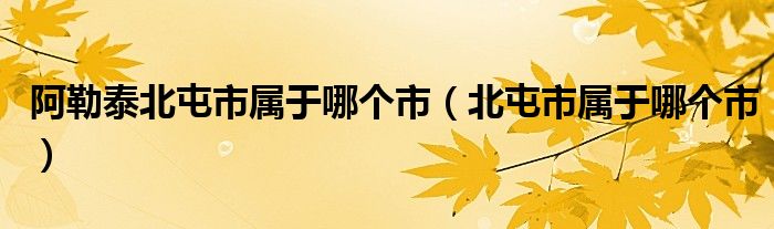 阿勒泰北屯市属于哪个市（北屯市属于哪个市）