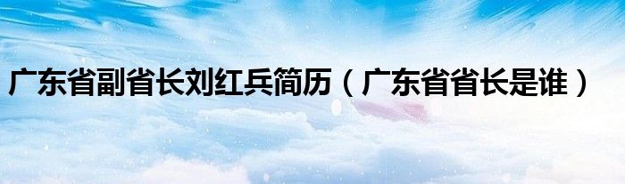 广东省副省长刘红兵简历（广东省省长是谁）