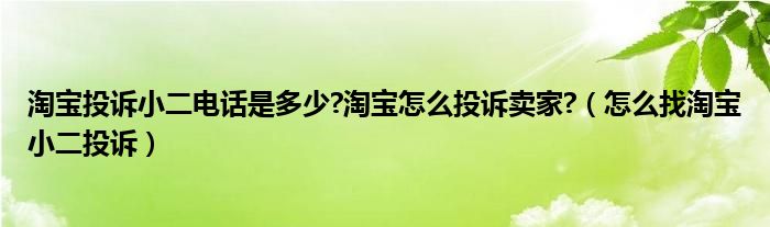 淘宝投诉小二电话是多少?淘宝怎么投诉卖家?（怎么找淘宝小二投诉）