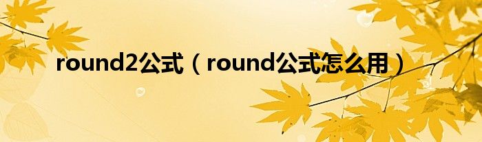 round2公式（round公式怎么用）