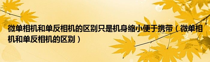 微单相机和单反相机的区别只是机身缩小便于携带（微单相机和单反相机的区别）