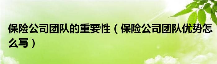 保险公司团队的重要性（保险公司团队优势怎么写）