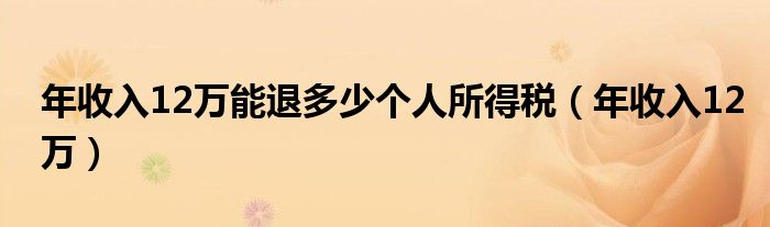 年收入12万能退多少个人所得税（年收入12万）