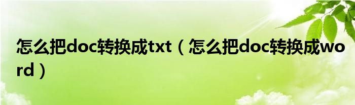 怎么把doc转换成txt（怎么把doc转换成word）