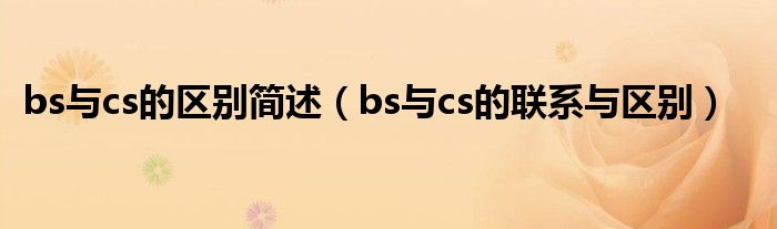 bs与cs的区别简述（bs与cs的联系与区别）