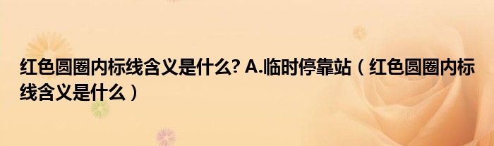 红色圆圈内标线含义是什么? A.临时停靠站（红色圆圈内标线含义是什么）