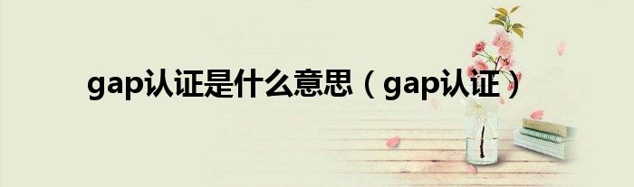 gap认证是什么意思（gap认证）