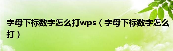 字母下标数字怎么打wps（字母下标数字怎么打）