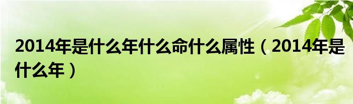 2014年是什么年什么命什么属性（2014年是什么年）