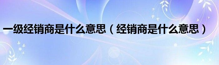 一级经销商是什么意思（经销商是什么意思）