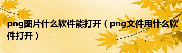 png图片什么软件能打开（png文件用什么软件打开）