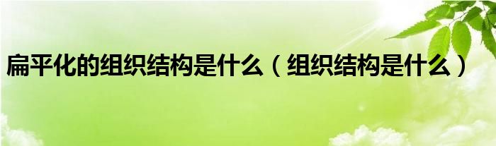 扁平化的组织结构是什么（组织结构是什么）