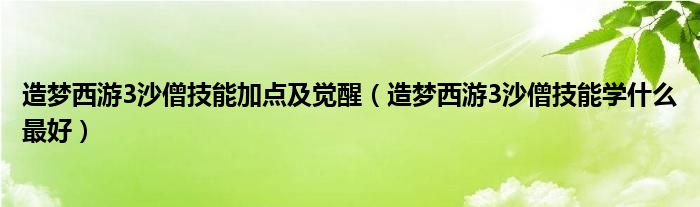 造梦西游3沙僧技能加点及觉醒（造梦西游3沙僧技能学什么最好）