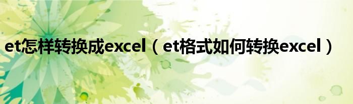 et怎样转换成excel（et格式如何转换excel）