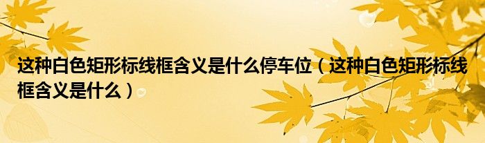 这种白色矩形标线框含义是什么停车位（这种白色矩形标线框含义是什么）