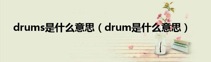 drums是什么意思（drum是什么意思）