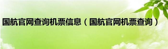 国航官网查询机票信息（国航官网机票查询）