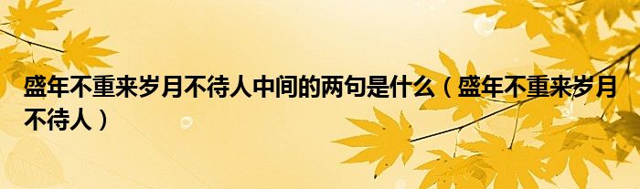 盛年不重来岁月不待人中间的两句是什么（盛年不重来岁月不待人）