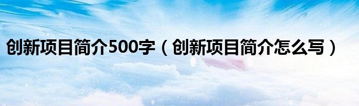 创新项目简介500字（创新项目简介怎么写）