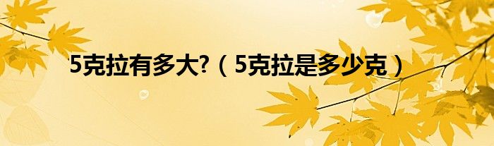 5克拉有多大?（5克拉是多少克）