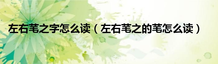 左右芼之字怎么读（左右芼之的芼怎么读）