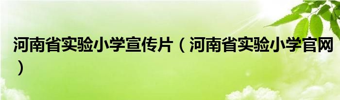 河南省实验小学宣传片（河南省实验小学官网）