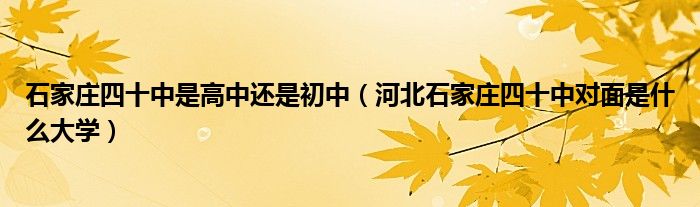 石家庄四十中是高中还是初中（河北石家庄四十中对面是什么大学）