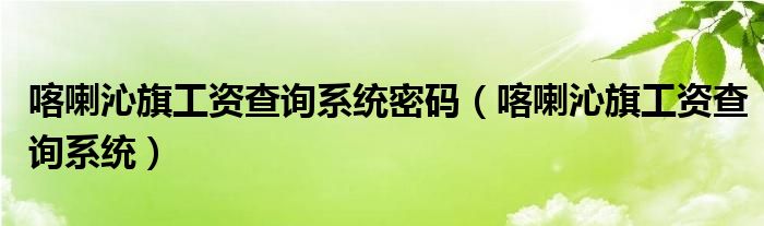 喀喇沁旗工资查询系统密码（喀喇沁旗工资查询系统）