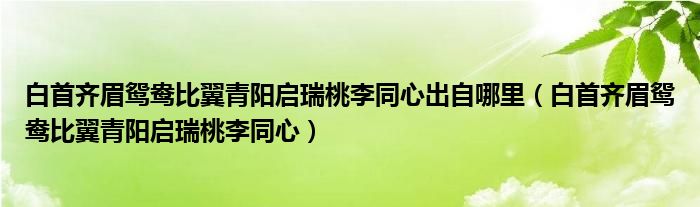 白首齐眉鸳鸯比翼青阳启瑞桃李同心出自哪里（白首齐眉鸳鸯比翼青阳启瑞桃李同心）