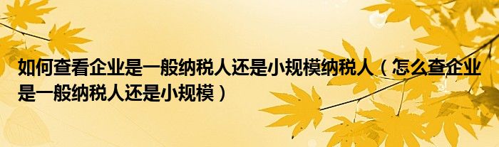 如何查看企业是一般纳税人还是小规模纳税人（怎么查企业是一般纳税人还是小规模）