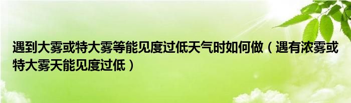 遇到大雾或特大雾等能见度过低天气时如何做（遇有浓雾或特大雾天能见度过低）