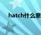 hatch什么意思翻译（hatch什么意思）