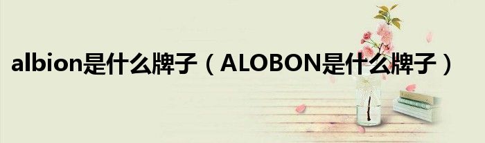 albion是什么牌子（ALOBON是什么牌子）