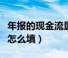 年报的现金流量表（财务报表年报现金流量表怎么填）