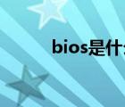 bios是什么语言（BIOS是什么）