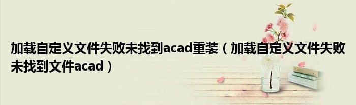 加载自定义文件失败未找到acad重装（加载自定义文件失败未找到文件acad）