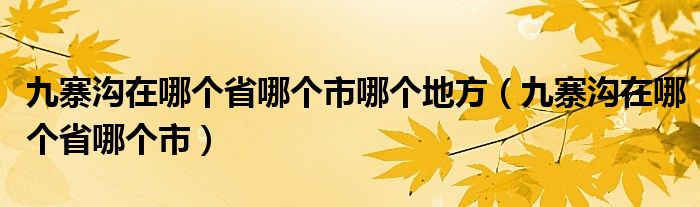 九寨沟在哪个省哪个市哪个地方（九寨沟在哪个省哪个市）