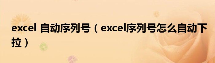 excel 自动序列号（excel序列号怎么自动下拉）