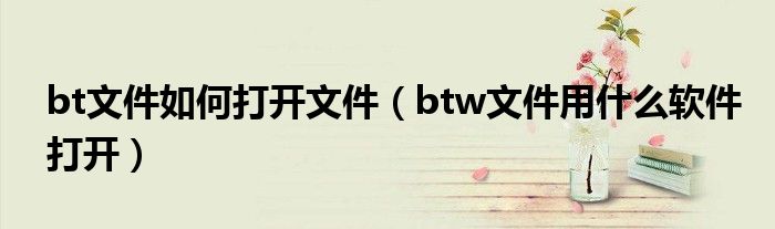 bt文件如何打开文件（btw文件用什么软件打开）