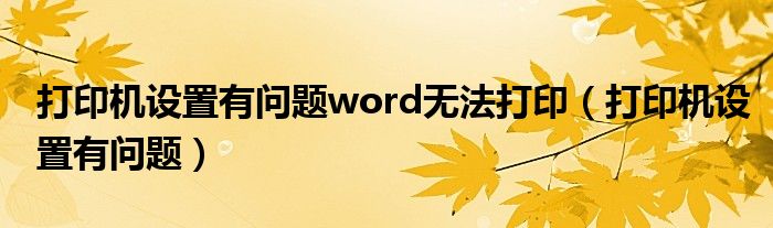 打印机设置有问题word无法打印（打印机设置有问题）