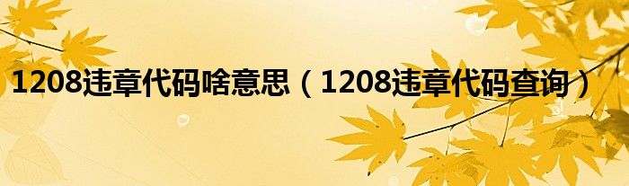 1208违章代码啥意思（1208违章代码查询）