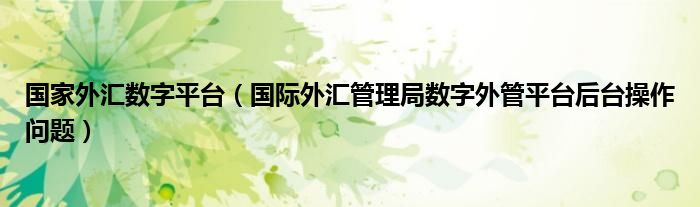 国家外汇数字平台（国际外汇管理局数字外管平台后台操作问题）