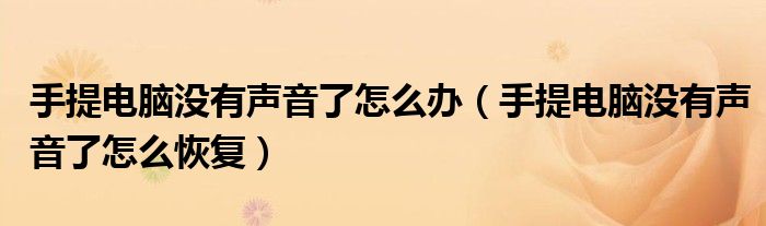 手提电脑没有声音了怎么办（手提电脑没有声音了怎么恢复）