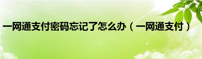 一网通支付密码忘记了怎么办（一网通支付）