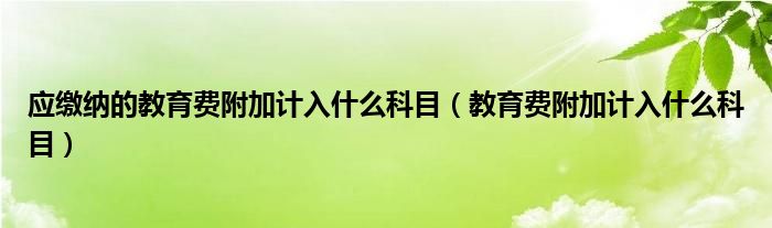 应缴纳的教育费附加计入什么科目（教育费附加计入什么科目）