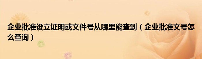 企业批准设立证明或文件号从哪里能查到（企业批准文号怎么查询）