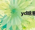 yd啥意思（ytd什么意思）