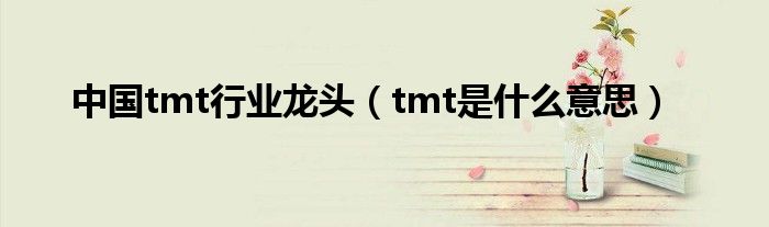 中国tmt行业龙头（tmt是什么意思）