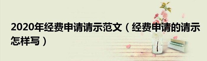 2020年经费申请请示范文（经费申请的请示怎样写）